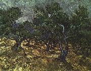 Vincent Van Gogh The Olive Grove painting